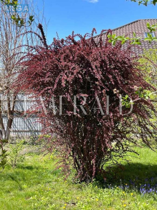 Продаж дома, 2&nbsp;поверху, 218,10&nbsp;кв.м, 4&nbsp;кімнати, ділянка 7,62&nbsp;соток, <a class="location-link" href="/kiev/" title="Недвижимость Київ">Київ</a>, <a class="location-link" href="/kiev/solomenskij/" title="Недвижимость Солом'янський район">Солом'янський р-н</a>, Молодежная ул., 10В (изображение 15)