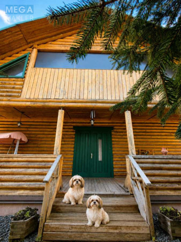 Продаж дома, 1&nbsp; поверх, 163&nbsp;кв.м, 5&nbsp;кімнат, ділянка 12&nbsp;соток, <a class="location-link" href="/bogdany-selo-kv/" title="Недвижимость Богдани">Богдани</a>, Міська (изображение 2)