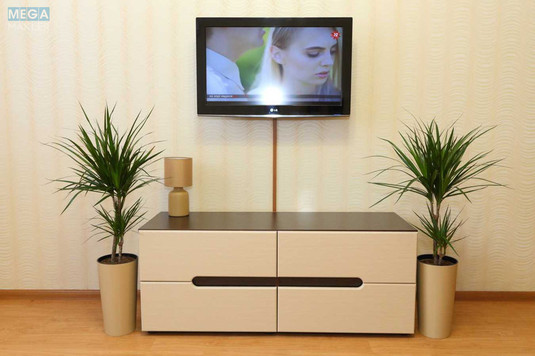 Оренда 1 кімнатної квартири, <a class="location-link" href="/kiev/" title="Недвижимость Київ">Київ</a>, <a class="location-link" href="/kiev/darnickij/" title="Недвижимость Дарницький район">Дарницький р-н</a>, Урлівська вул., 23Б (изображение 10)