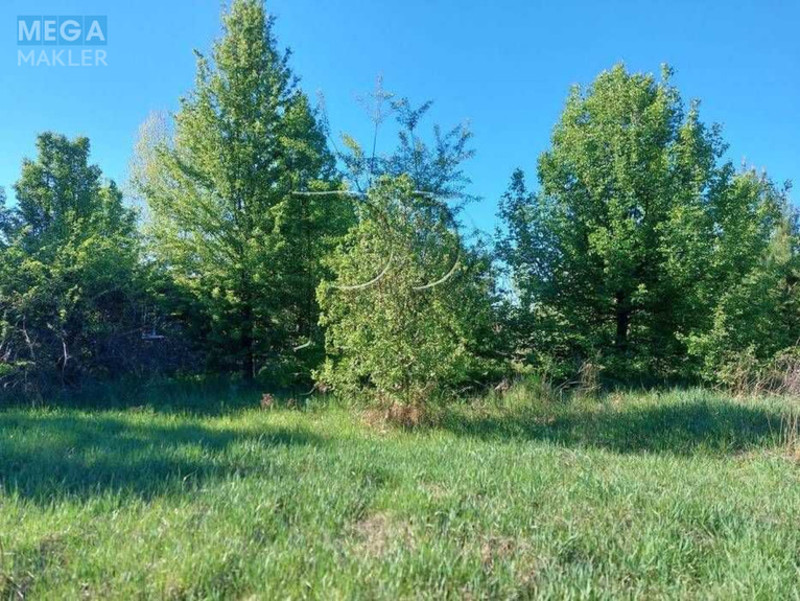Продажа участка, 10&nbsp;соток, земля сельскохозяйственного назначения, <a class="location-link" href="/hotyanovka/" title="Недвижимость Хотянівка">Хотянівка</a>, СТ Глядин (изображение 2)