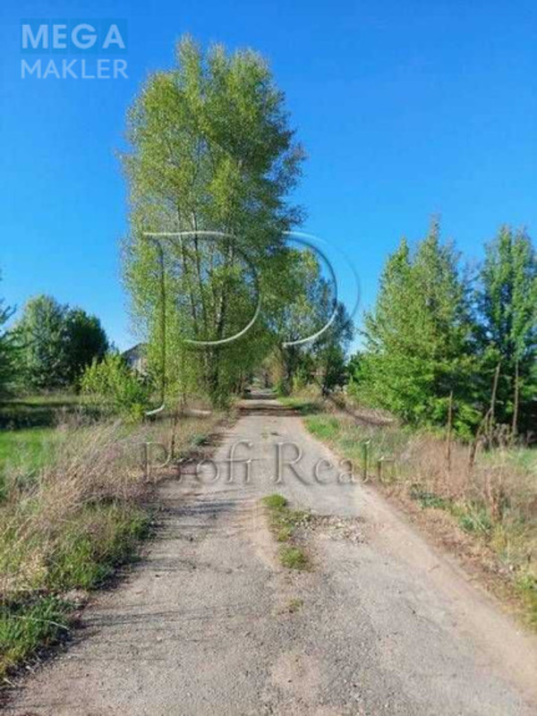 Продажа участка, 10&nbsp;соток, земля сельскохозяйственного назначения, <a class="location-link" href="/hotyanovka/" title="Недвижимость Хотянівка">Хотянівка</a>, СТ Глядин (изображение 4)
