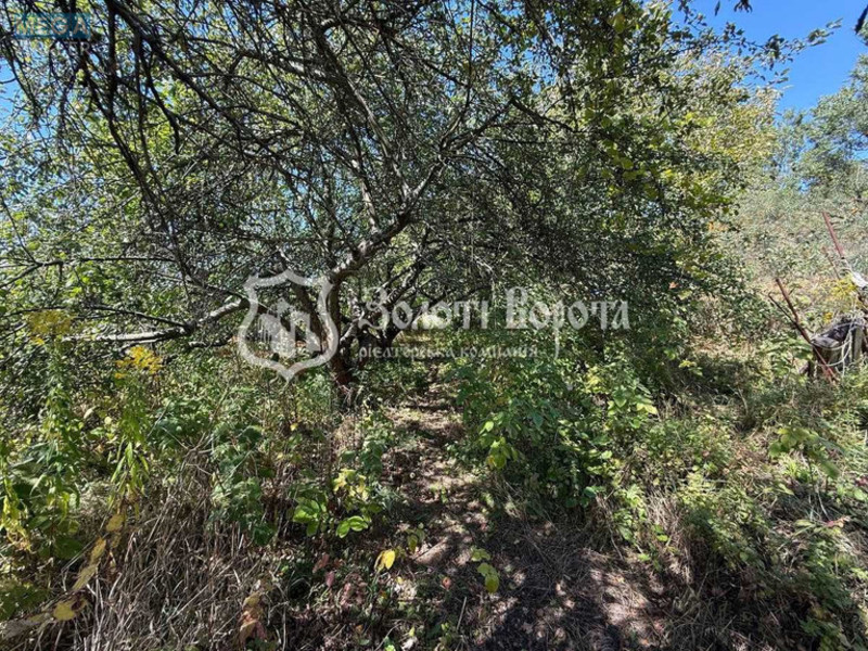 Продажа участка, 12&nbsp;соток, земля сельскохозяйственного назначения, <a class="location-link" href="/starye-bezradichi/" title="Недвижимость Старі Безрадичі">Старі Безрадичі</a>, СТ Рябіна (изображение 12)