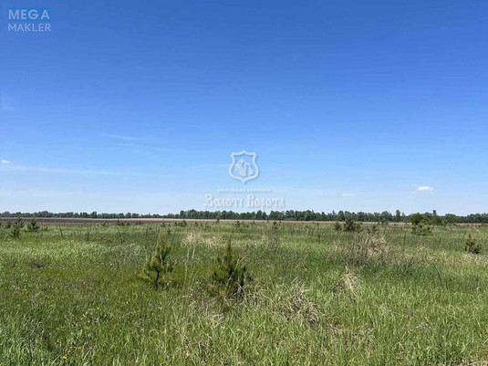Продажа участка, 20&nbsp;соток, участок под жилую застройку, <a class="location-link" href="/mikulichi-selo/" title="Недвижимость Микулічі">Микуличі</a>, Райдужна вул. (изображение 4)