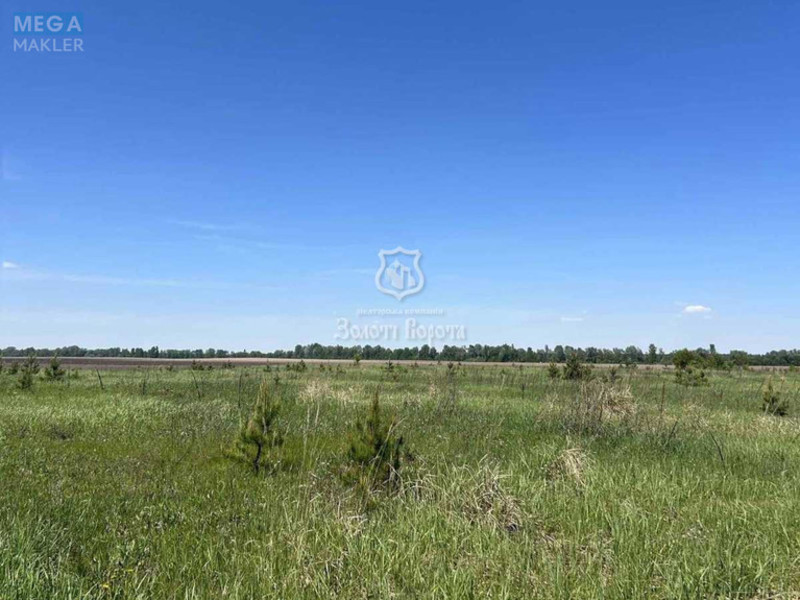 Продажа участка, 20&nbsp;соток, участок под жилую застройку, <a class="location-link" href="/mikulichi-selo/" title="Недвижимость Микулічі">Микуличі</a>, Райдужна вул. (изображение 4)