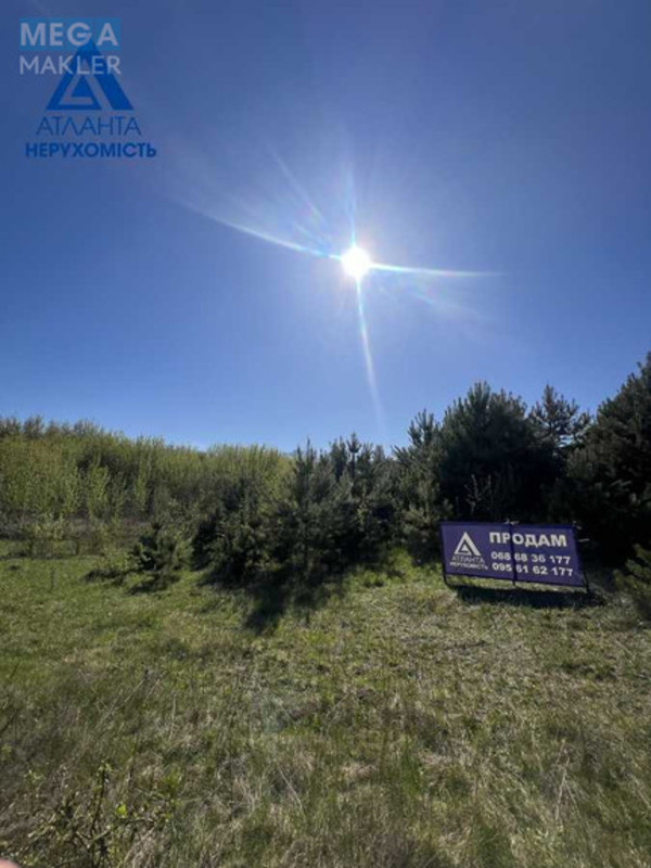 Продажа участка, 25&nbsp;соток, участок под жилую застройку, <a class="location-link" href="/ohotin/" title="Недвижимость Охотін">Охотин</a>, Лісова (изображение 2)