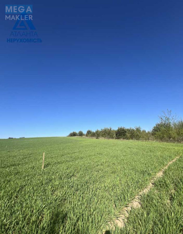 Продажа участка, 25&nbsp;соток, участок под жилую застройку, <a class="location-link" href="/ohotin/" title="Недвижимость Охотін">Охотин</a>, Лісова (изображение 4)