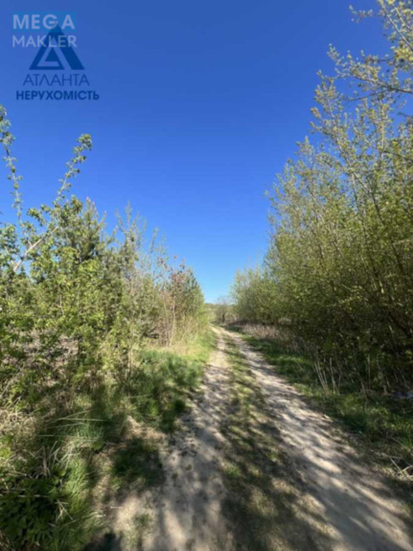 Продажа участка, 25&nbsp;соток, участок под жилую застройку, <a class="location-link" href="/ohotin/" title="Недвижимость Охотін">Охотин</a>, Лісова (изображение 6)