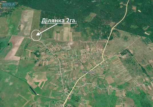 Продажа участка, 200&nbsp;соток, земля сельскохозяйственного назначения, <a class="location-link" href="/nozhilovichi/" title="Недвижимость Ніжиловичі">Ніжиловичі</a>, Петровського (изображение 6)