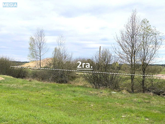 Продажа участка, 200&nbsp;соток, земля сельскохозяйственного назначения, <a class="location-link" href="/nozhilovichi/" title="Недвижимость Ніжиловичі">Ніжиловичі</a>, Петровського (изображение 8)