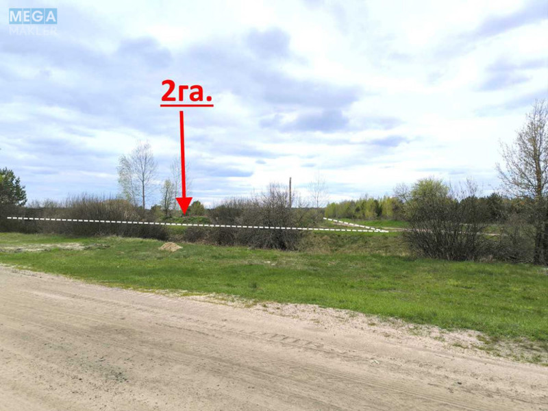 Продажа участка, 200&nbsp;соток, земля сельскохозяйственного назначения, <a class="location-link" href="/nozhilovichi/" title="Недвижимость Ніжиловичі">Ніжиловичі</a>, Петровського (изображение 12)