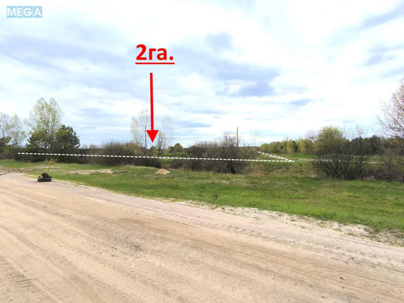 Продажа участка, 200&nbsp;соток, земля сельскохозяйственного назначения, <a class="location-link" href="/nozhilovichi/" title="Недвижимость Ніжиловичі">Ніжиловичі</a>, Петровського (изображение 13)