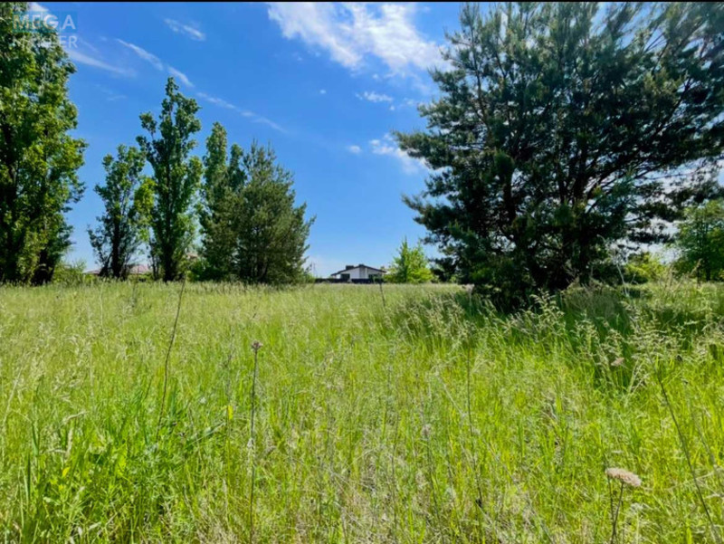 Продажа участка, 25&nbsp;соток, участок под жилую застройку, <a class="location-link" href="/lebedevka-selo-kv-vyshgorodskij-rajon/" title="Недвижимость Лебедівка">Лебедівка</a>, прибережна (изображение 8)