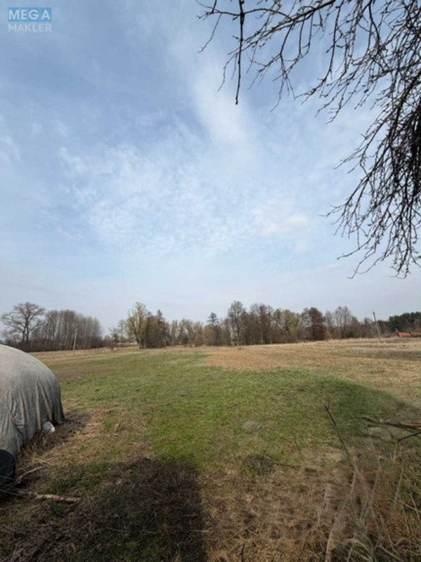 Продаж дома, 1&nbsp; поверх, 94&nbsp;кв.м, 3&nbsp;кімнати, ділянка 25&nbsp;соток, <a class="location-link" href="/rozhny-selo/" title="Недвижимость Рожні">Рожни</a>, Північна (изображение 8)