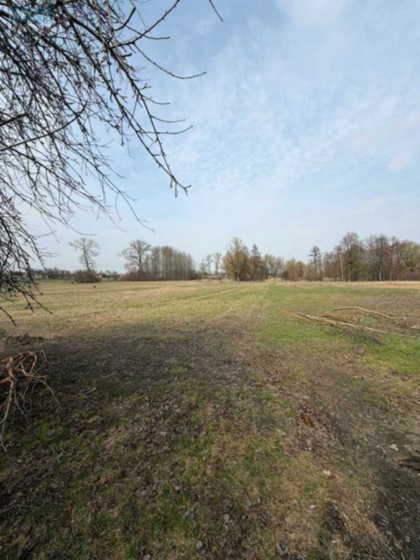 Продаж дома, 1&nbsp; поверх, 94&nbsp;кв.м, 3&nbsp;кімнати, ділянка 25&nbsp;соток, <a class="location-link" href="/rozhny-selo/" title="Недвижимость Рожні">Рожни</a>, Північна (изображение 9)