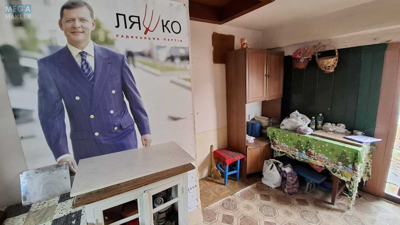 Продаж дома, 1&nbsp; поверх, 80&nbsp;кв.м, 5&nbsp;кімнат, ділянка 35&nbsp;соток, <a class="location-link" href="/tovtri/" title="Недвижимость Товтри">Товтри</a>, Хмельницького Богдана, 15 (изображение 21)