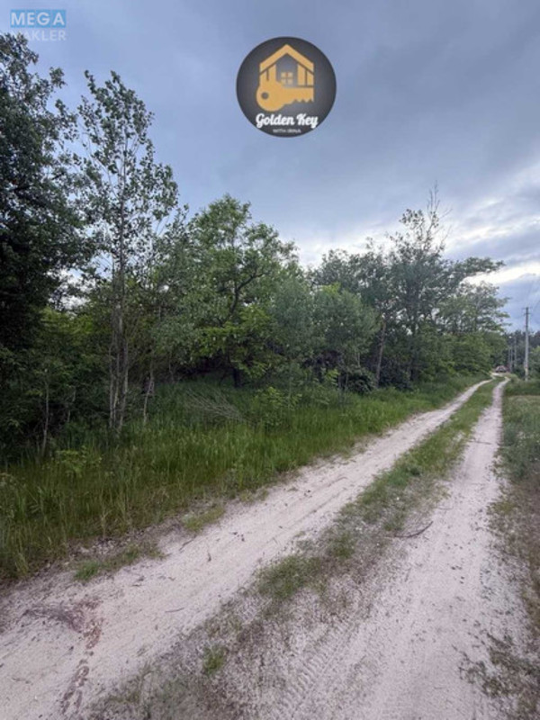 Продаж дома, 1&nbsp; поверх, 75&nbsp;кв.м, 2&nbsp;кімнати, ділянка 41&nbsp;сотка, <a class="location-link" href="/voropaev/" title="Недвижимость Воропаїв">Воропаїв</a>, Чапаєва (изображение 5)