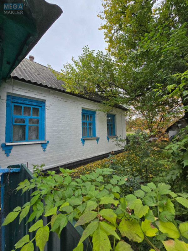 Продаж дома, 1&nbsp; поверх, 56&nbsp;кв.м, 2&nbsp;кімнати, ділянка 22&nbsp;сотки, <a class="location-link" href="/dovgalovskoe/" title="Недвижимость Довгалівське">Довгалівське</a>, Центральна, 1 (изображение 2)