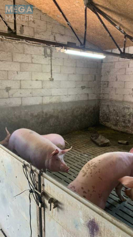 Продаж комплексу будівель та споруд, 200&nbsp;кв.м, под производство, <a class="location-link" href="/pustovojtovo/" title="Недвижимость Пустовійтове">Пустовійтове</a>, Богдана Хмельницкого, 8 (изображение 7)