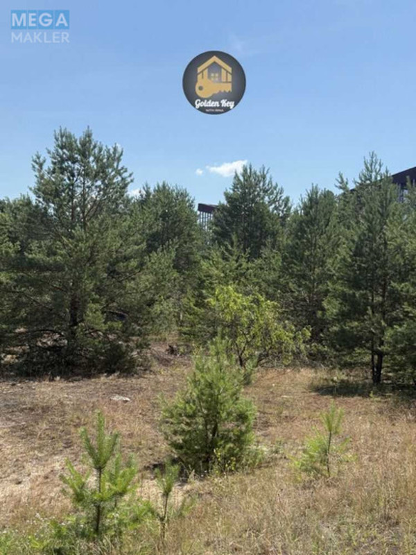 Продажа участка, 65&nbsp;соток, земля сельскохозяйственного назначения, <a class="location-link" href="/hotyanovka/" title="Недвижимость Хотянівка">Хотянівка</a>, Вишгородська Брама (изображение 2)