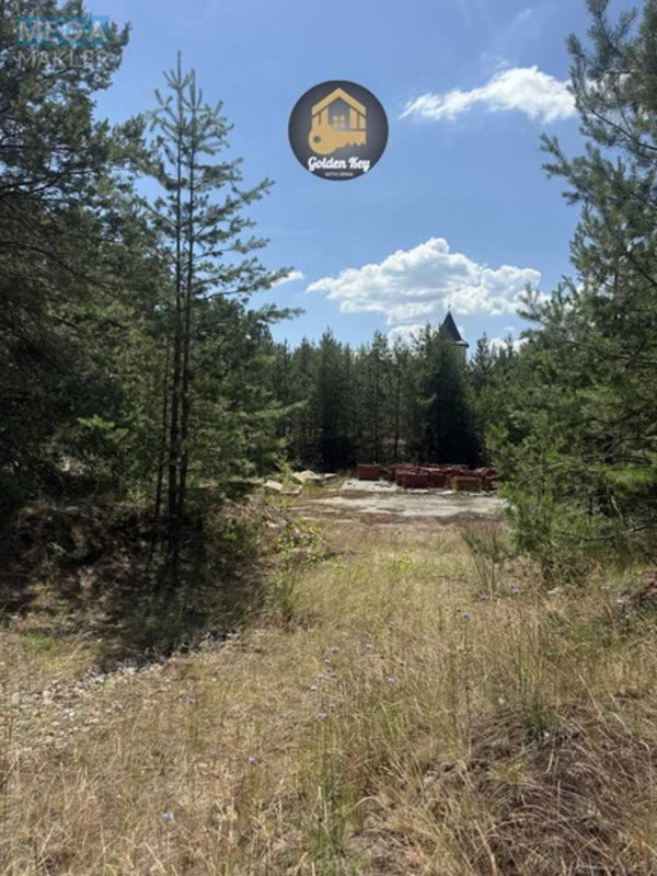 Продажа участка, 65&nbsp;соток, земля сельскохозяйственного назначения, <a class="location-link" href="/hotyanovka/" title="Недвижимость Хотянівка">Хотянівка</a>, Вишгородська Брама (изображение 6)