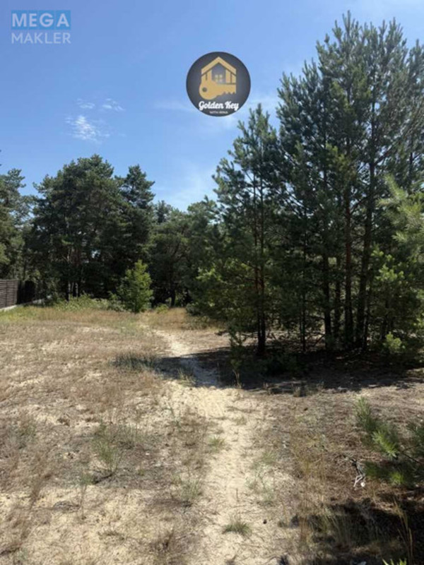 Продажа участка, 65&nbsp;соток, земля сельскохозяйственного назначения, <a class="location-link" href="/hotyanovka/" title="Недвижимость Хотянівка">Хотянівка</a>, Вишгородська Брама (изображение 14)