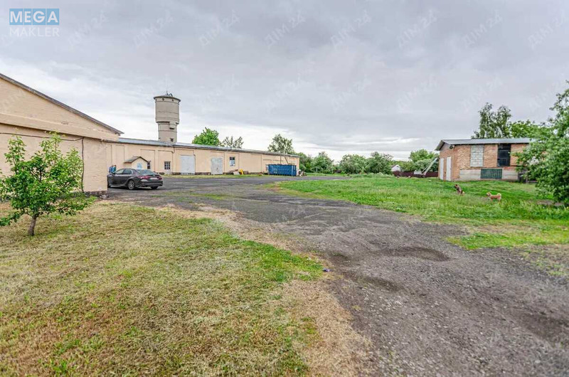 Продаж комплексу будівель та споруд, 1&nbsp;753&nbsp;кв.м, под производство, <a class="location-link" href="/zhovtnevoe-poselok-pl/" title="Недвижимость Жовтневе">Жовтневе</a>, Карла Маркса, 1 (изображение 10)