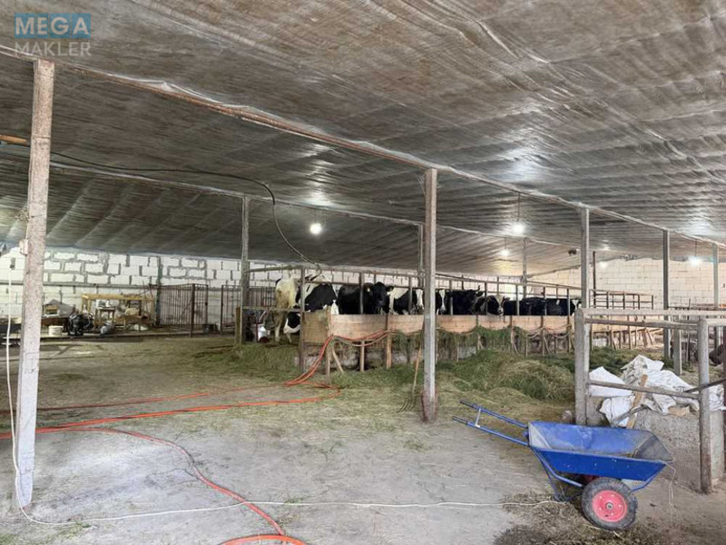 Продажа участка, 40&nbsp;соток, участок под жилую застройку, <a class="location-link" href="/gorenichi/" title="Недвижимость Гореничі">Гореничі</a>, Кленовий узвіз,6 (изображение 5)