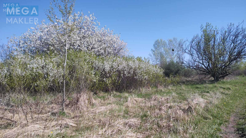 Продажа участка, 7,38&nbsp;соток, участок под жилую застройку, <a class="location-link" href="/kiev/" title="Недвижимость Київ">Київ</a>, <a class="location-link" href="/kiev/desnyanskij/" title="Недвижимость Деснянський район">Деснянський р-н</a>, Вірності вул. (изображение 36)
