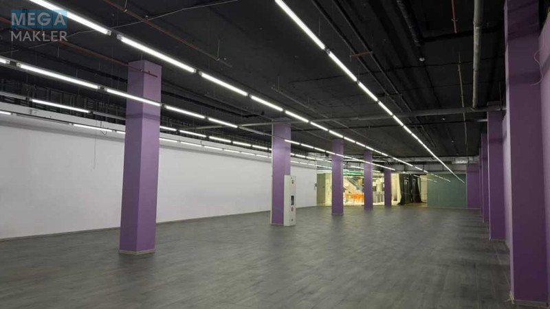 Оренда комерційної нерухомості, 300&nbsp;кв.м, под магазин, <a class="location-link" href="/kiev/" title="Недвижимость Київ">Київ</a>, <a class="location-link" href="/kiev/solomenskij/" title="Недвижимость Солом'янський район">Солом'янський р-н</a>, Борщагівська вул., 154 (изображение 8)