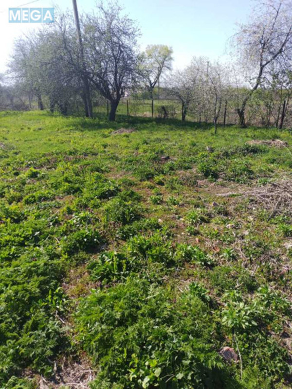 Продаж комплексу будівель та споруд, 470&nbsp;кв.м, под производство, <a class="location-link" href="/halyavin/" title="Недвижимость Халявін">Халявин</a>, Шевченка, 2а (изображение 13)