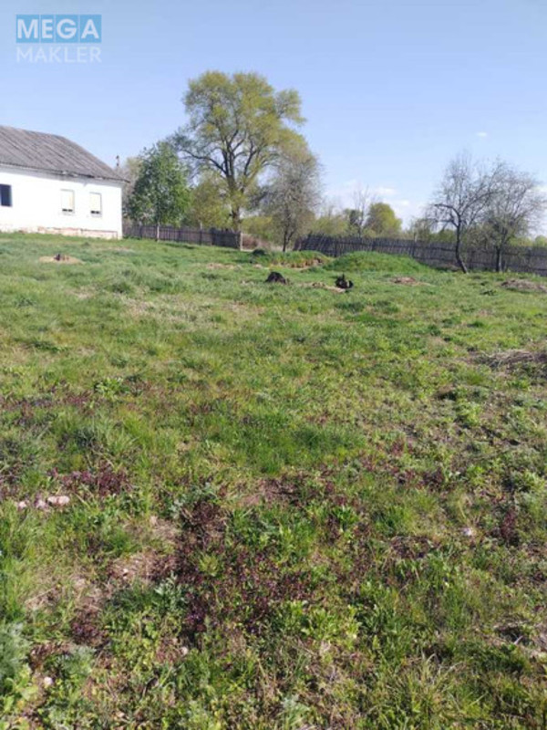 Продаж комплексу будівель та споруд, 470&nbsp;кв.м, под производство, <a class="location-link" href="/halyavin/" title="Недвижимость Халявін">Халявин</a>, Шевченка, 2а (изображение 15)