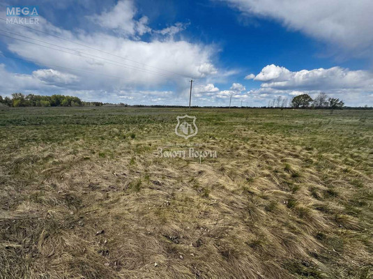 Продажа участка, 160&nbsp;соток, участок под жилую застройку, <a class="location-link" href="/litochki/" title="Недвижимость Літочки">Літочки</a>, Незалежності вул. (изображение 2)