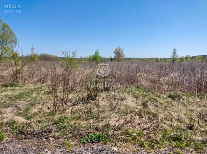 Продажа участка, 160&nbsp;соток, участок под жилую застройку, <a class="location-link" href="/litochki/" title="Недвижимость Літочки">Літочки</a>, Незалежності вул. (изображение 3)