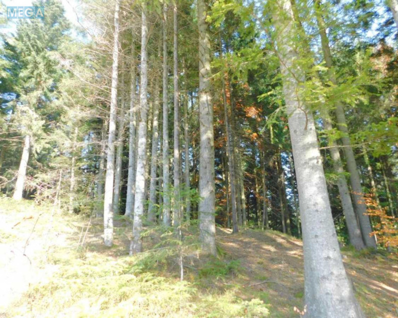 Продаж дома, 3&nbsp;поверху, 316&nbsp;кв.м, 7&nbsp;кімнат, ділянка 18&nbsp;соток, <a class="location-link" href="/shodnica/" title="Недвижимость Східниця">Східниця</a>, Бориславська, 37 (изображение 20)