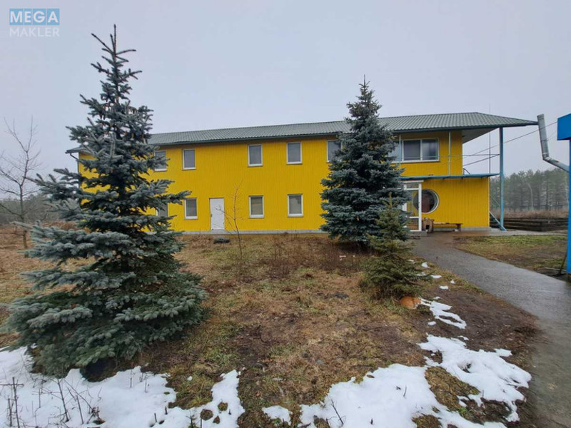 Продаж комерційної нерухомості, 1&nbsp;655&nbsp;кв.м, под склад, <a class="location-link" href="/vyshgorod/" title="Недвижимость Вишгород">Вишгород</a>, Новопромислова, 16 (изображение 12)