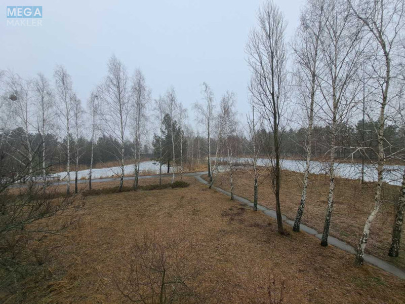 Продаж комерційної нерухомості, 1&nbsp;655&nbsp;кв.м, под склад, <a class="location-link" href="/vyshgorod/" title="Недвижимость Вишгород">Вишгород</a>, Новопромислова, 16 (изображение 17)
