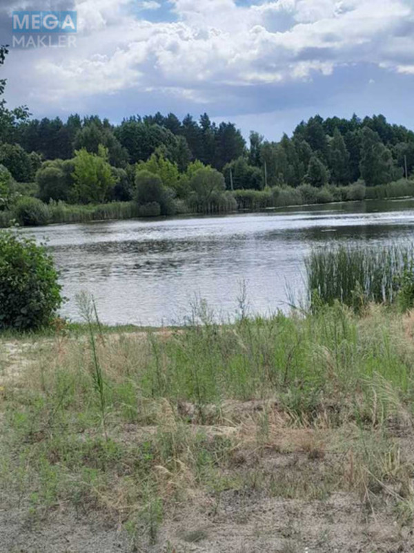 Продаж дома, 1&nbsp; поверх, 77&nbsp;кв.м, 3&nbsp;кімнати, ділянка 34&nbsp;сотки, <a class="location-link" href="/malin/" title="Недвижимость Малін">Малин</a>, Миру (изображение 8)