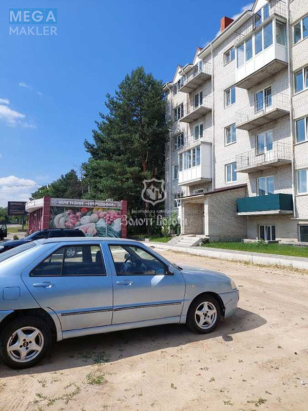 Продаж 1 кімнатної квартири (44,9/23,5/9,6), 6 пов. 6 пов. будинку, <a class="location-link" href="/yurevka-selo-kv/" title="Недвижимость Юрівка">Юрівка</a>, Шевченка вул., 3а (изображение 13)