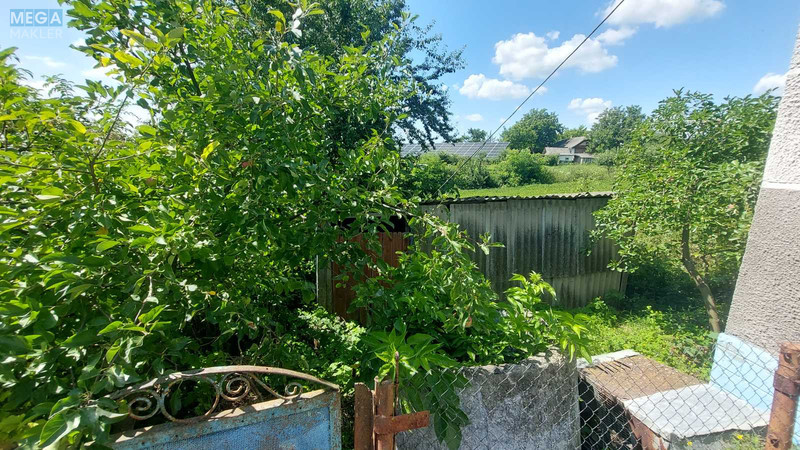 Продаж дома, 1&nbsp; поверх, 81,60&nbsp;кв.м, 3&nbsp;кімнати, ділянка 22&nbsp;сотки, <a class="location-link" href="/borovcy/" title="Недвижимость Борівці">Борівці</a>, Шевченка, 6 (изображение 20)