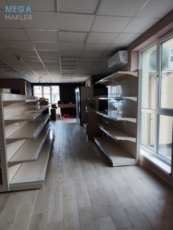 Продаж комерційної нерухомості, 78&nbsp;кв.м, под магазин, <a class="location-link" href="/kiev/" title="Недвижимость Київ">Київ</a>, <a class="location-link" href="/kiev/pecherskij/" title="Недвижимость Печерський район">Печерський р-н</a>, Бастіонний пров., 15 (изображение 4)