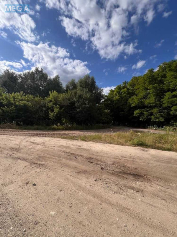 Продажа участка, 150&nbsp;соток, участок под жилую застройку, <a class="location-link" href="/starye-bezradichi/" title="Недвижимость Старі Безрадичі">Старі Безрадичі</a>, Капустяна (изображение 2)