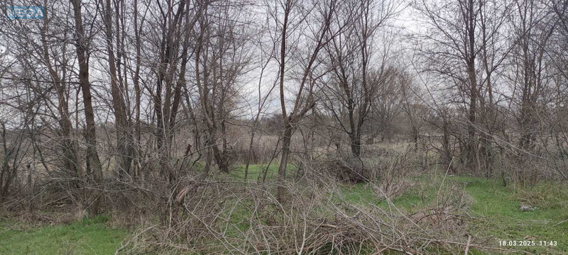 Продажа участка, 39&nbsp;соток, участок под жилую застройку, <a class="location-link" href="/zaporozhje/" title="Недвижимость Запоріжжя">Запоріжжя</a>, <a class="location-link" href="/zaporozhje/leninskij/" title="Недвижимость Ленінський район">Ленінський р-н</a>, вул. Адм. Макарова (Арсена Коваленка), 119. (изображение 2)