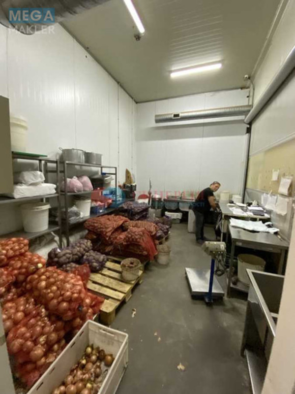 Оренда окремої будівлі/побудови, 1&nbsp;500&nbsp;кв.м, под производство, <a class="location-link" href="/kiev/" title="Недвижимость Київ">Київ</a>, <a class="location-link" href="/kiev/darnickij/" title="Недвижимость Дарницький район">Дарницький р-н</a>, Бориспільське шосе (изображение 4)