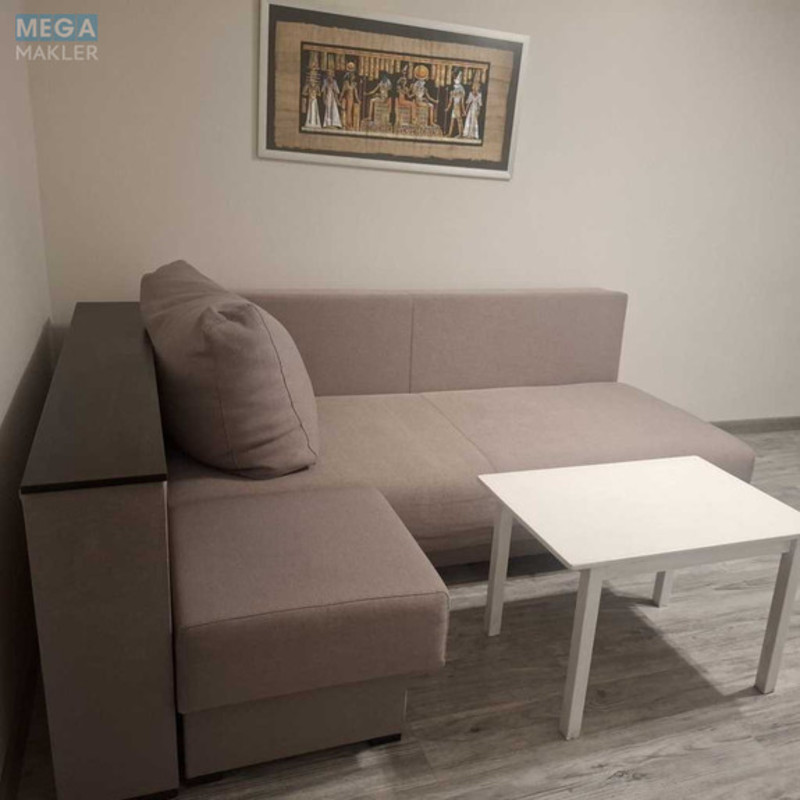 Оренда 1 кімнатної квартири, <a class="location-link" href="/kiev/" title="Недвижимость Київ">Київ</a>, <a class="location-link" href="/kiev/goloseevskij/" title="Недвижимость Голосіївський район">Голосіївський р-н</a>, Науки просп. (изображение 18)