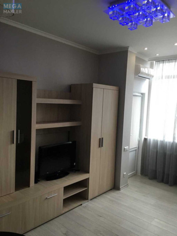 Оренда 1 кімнатної квартири, <a class="location-link" href="/kiev/" title="Недвижимость Київ">Київ</a>, <a class="location-link" href="/kiev/shevchenkovskij/" title="Недвижимость Шевченківський район">Шевченківський р-н</a>, Жилянська вул., 118 (изображение 3)