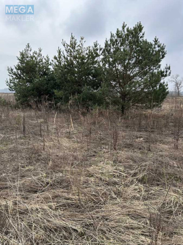 Продажа участка, 20&nbsp;соток, участок под жилую застройку, <a class="location-link" href="/rozhovka/" title="Недвижимость Рожівка">Рожівка</a>, Залізнична 11 (изображение 2)
