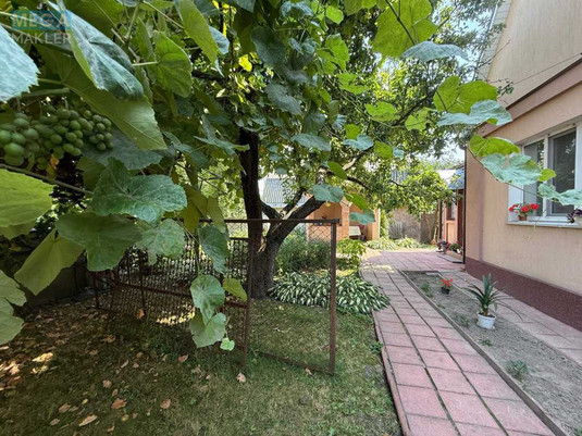 Продаж дома, 1&nbsp; поверх, 94&nbsp;кв.м, 3&nbsp;кімнати, ділянка 21&nbsp;сотка, <a class="location-link" href="/novye-petrovcy/" title="Недвижимость Нові Петрівці">Нові Петрівці</a>, Свято-Покровська (изображение 3)