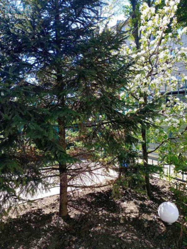 Продаж 2 кімнатної квартири (73/?/10), 1 пов. 5 пов. будинку, <a class="location-link" href="/odessa/" title="Недвижимость Одеса">Одеса</a>, <a class="location-link" href="/odessa/malinovskij/" title="Недвижимость Малиновський район">Малиновський р-н</a>, Ефима Фесенко (изображение 23)