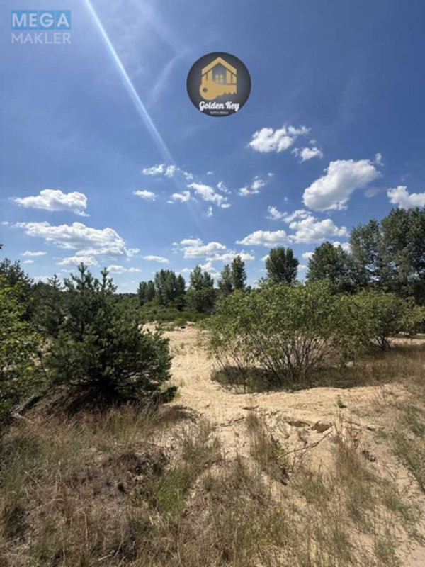 Продажа участка, 31&nbsp;сотка, земля сельскохозяйственного назначения, <a class="location-link" href="/hotyanovka/" title="Недвижимость Хотянівка">Хотянівка</a>, Вишгородська брама (изображение 10)