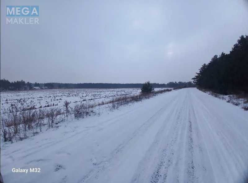 Продажа участка, 200,01&nbsp;соток, земля сельскохозяйственного назначения, <a class="location-link" href="/poltava/" title="Недвижимость Полтава">Полтава</a>, Нова (изображение 4)